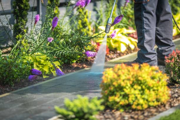 Best Soft Washing for Delicate Surfaces in Topton, PA