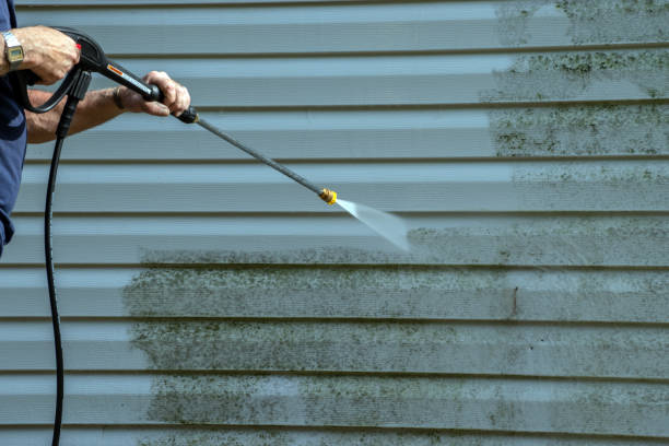Best Window and Screen Pressure Cleaning in Topton, PA